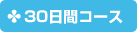 30日間コース