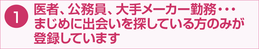 医者、公務員、大手メーカー勤務...まじめに出会いを探している方のみが登録しています